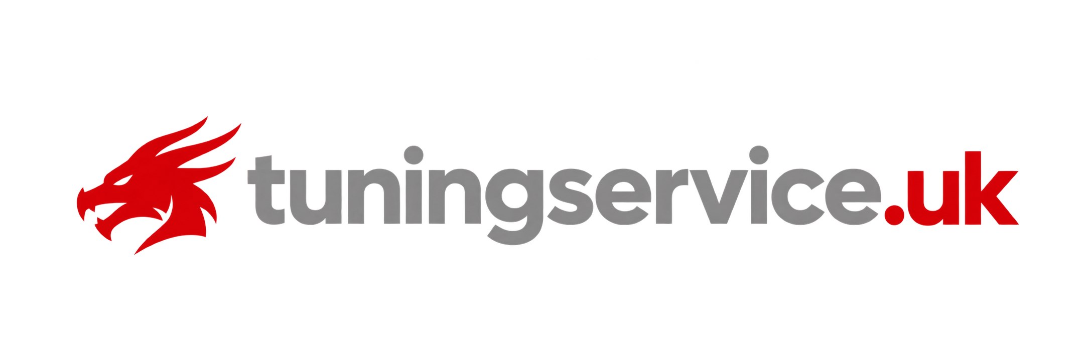 tuningservice.uk — red dragon logo